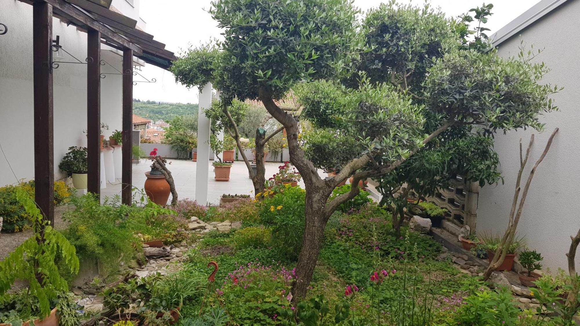 Tramontana Apartment Lucija Exterior photo